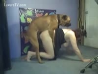 Bitch lifts her costume for a doggy fuck